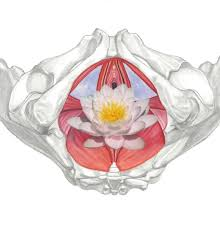 Benessere Femminile